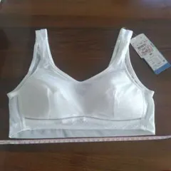 Item thumbnail for item 1c0e9a5d-26e7-4213-a00e-6de5189dfcda