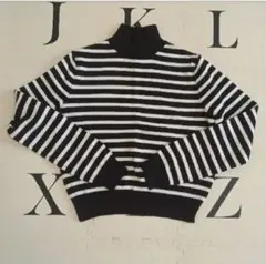 ZARA ストライプ ハイネックショート丈ニット