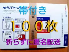 ゆうパケットポストmini専用封筒　100枚