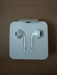 Apple EarPods with Lightning Connector