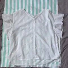 Item thumbnail for item a226c11a-87c9-427f-bcaa-9ae3d6362560