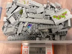 chi3様専用レゴフレンズ・プリンセス　グレー　約410グラム