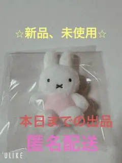 ミッフィー miffy style限定　ふわふわマスコット