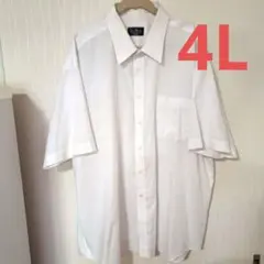 LES MUES 形態安定シャツ 大きめ4L