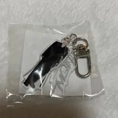 SEVENTEEN カプセルトイ アクキー エスクプス