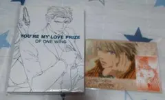 ファインダーの隻翼 初回限定版DVD