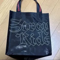 straykids ツアー ライブ アプグレ グッズ 未開封