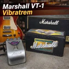 2026年最新】Vibratrem VT-1の人気アイテム - メルカリ