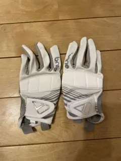 Item thumbnail for item b8bbd008-92dc-4504-b999-41eaf3c71ae1