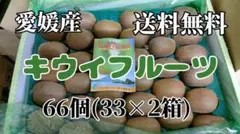 愛媛産 キウイフルーツ 2箱(66個)