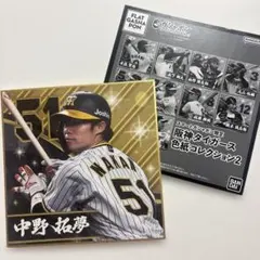中野拓夢 色紙 阪神タイガースのサムネイル