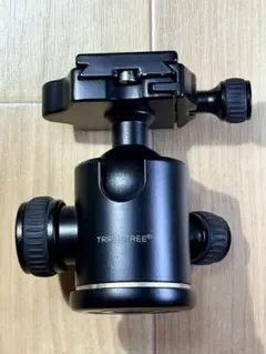 Item thumbnail for item aedd7129-4084-4b47-82c8-482e444e58fc