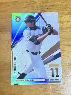 大谷翔平 オーナーズリーグ レアカード キラカード インフィニティ