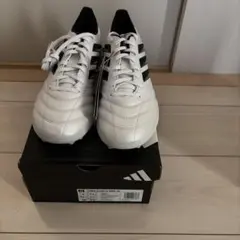 Item thumbnail for item 3ee09dad-3822-411d-b92a-eb27bbc87faa