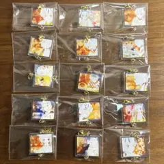 鬼滅の刃　隊士百景　我妻善逸　 絆アクリルチャーム　全15種セット