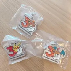 A*u様 ポケモン30周年 メタルチャームマスコット ピカチュウ リザードン ヒ