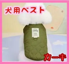 Item thumbnail for item 0704d293-e70f-4ae2-bcd5-b7ca76231923