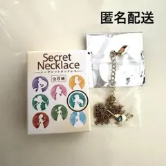 ディズニーストア　シークレットネックレス　ジャスミン