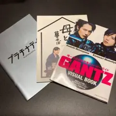 二宮和也　パンフレットセット