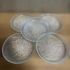 Item thumbnail for item cd5c3b6a-6d1d-447a-83fe-6e257abe634c