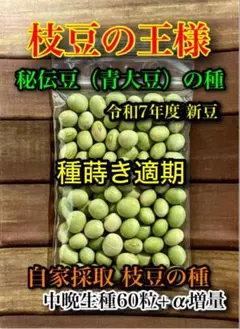Miiiiiii様 リクエスト 2点 まとめ商品