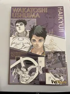 ハイキュー 箔押しイラストカードコレクション 牛島若利