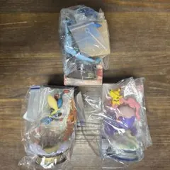 リーメント　ピカチュウ　ムシャーナ　メガルカリオ　メガリザードンX