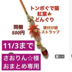さおりん☆様おまとめご専用11/3まで