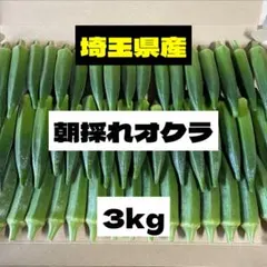 ★朝採れオクラ★たっぷり3kg‼️