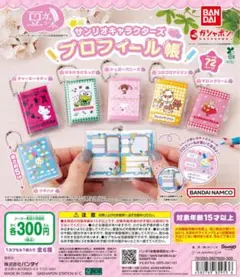 サンリオキャラクターズ プロフィール帳 チャーミーキティ