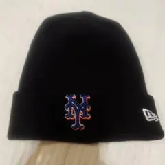 Item thumbnail for item 471520ea-3974-4ce1-875d-f8710b57f66e