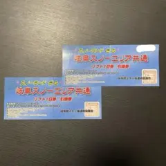 岐阜スノーエリア共通リフト１日券 スノーランドぎふ 岐阜スノーエリア共通 リフト1日券 引換券 【公式通販】