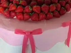 にゃん様専用ページ