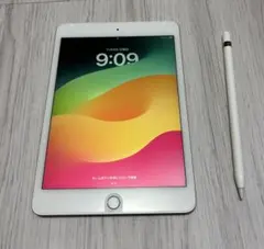 ipad 本体 mini