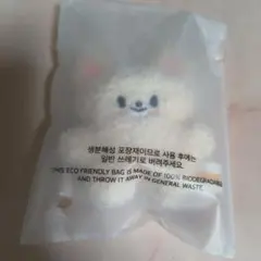 アイエン　I.N straykids SKZOO micro キーリング