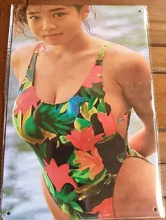 細川ふみえ　水着　メタルプレート　ブリキ看板