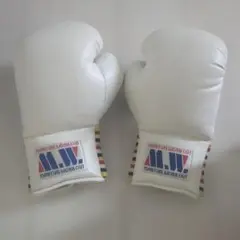 ISAMI BOXER ボクシンググローブ 10oz ホワイト 本革 - メルカリ