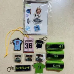 ヤクルトスワローズ塩見清水田口山崎西村中村ファン感謝DAYグッズピンバッジ