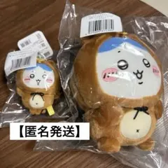 ちいかわ　たぬきだもんくじ　B賞・C賞　ハチワレセット