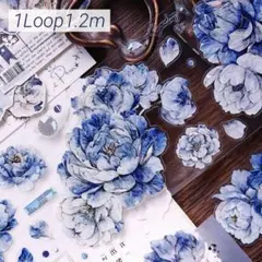 xi183s♦︎小白家-幽蓝花镜 PET 贝壳光 1ループ 1.2m