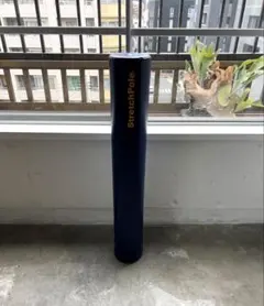 Item thumbnail for item 2155315c-aa64-4972-917d-25a93c969cd7