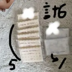 アルビオン　フェイシャルコットンL セット2種