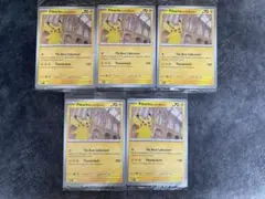発送予定日24日〜 5枚 イギリスロンドン自然史博物館ピカチュウPikachu