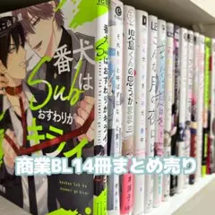 商業BL まとめ売り ㉒ BL漫画14冊