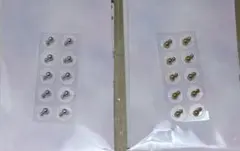 耳つぼジュエリー2枚セット（20粒）