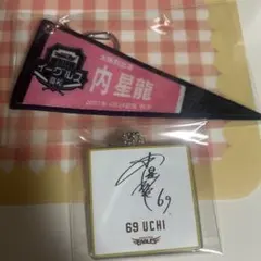 Item thumbnail for item f87e9e17-02d2-4eb2-a152-6af78fe73714