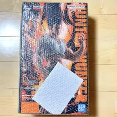 一番くじ ハンターハンター ダブルチャンスキャンペーン 当選品 ゴン ラストワン