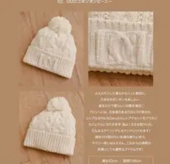 Darich ノベルティ ニット帽