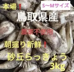 【専用】6月10日18-20時指定 らっきょう 10kg 専用】6月10日18-20時指定 らっきょう 10kg - メルカリ