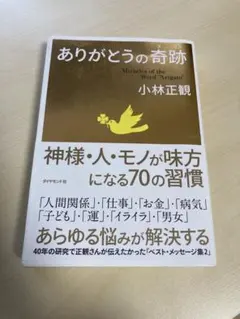 Item thumbnail for item ce8202fb-9da9-4051-be28-5306525a7a9a